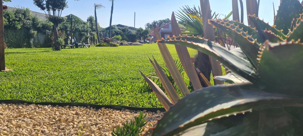 Hollidays Dreams Villa Póvoa de Varzim Eksteriør billede
