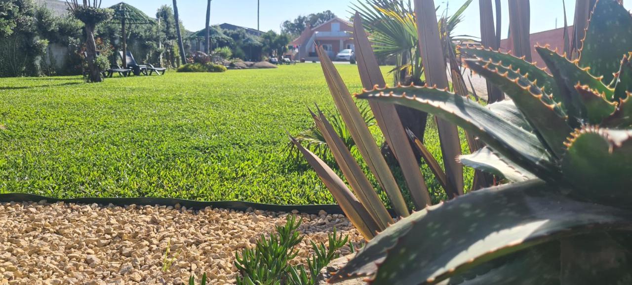 Hollidays Dreams Villa Póvoa de Varzim Eksteriør billede