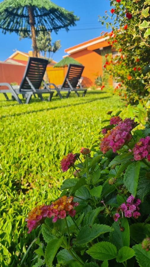 Hollidays Dreams Villa Póvoa de Varzim Eksteriør billede