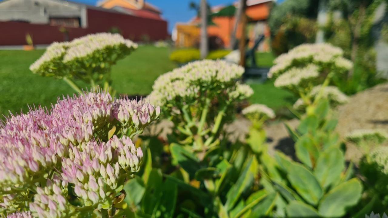 Hollidays Dreams Villa Póvoa de Varzim Eksteriør billede