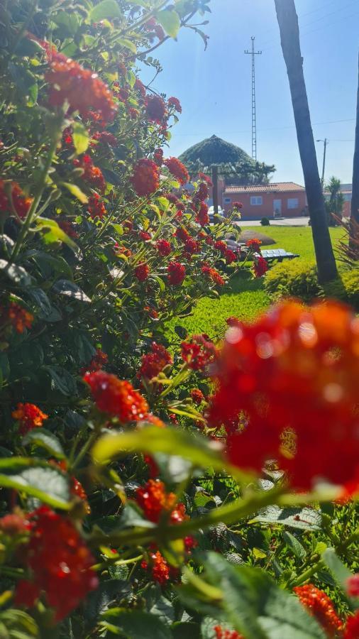 Hollidays Dreams Villa Póvoa de Varzim Eksteriør billede