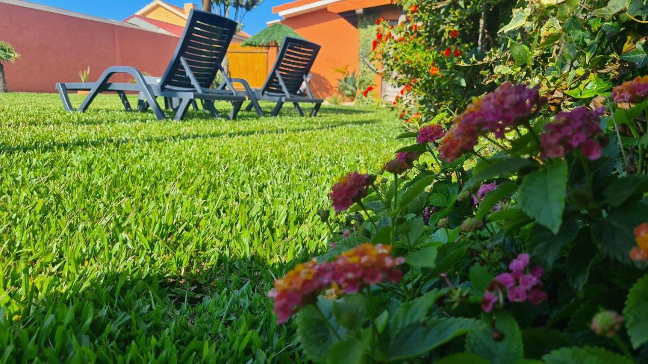 Hollidays Dreams Villa Póvoa de Varzim Eksteriør billede